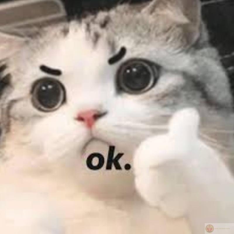 Meme ok cute