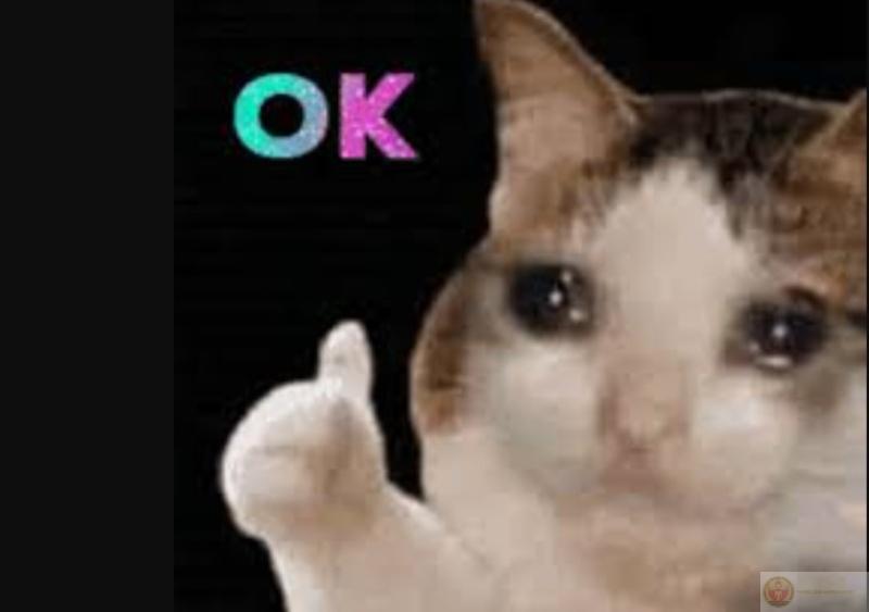 Ờ ok nhưng trong lòng thì đang rối tung