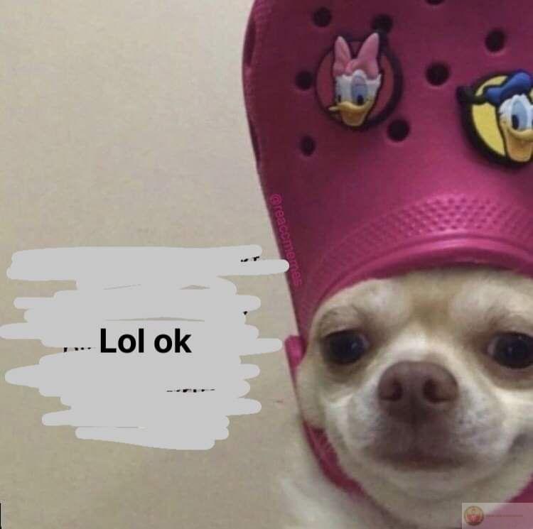 Không nghe không thấy, chỉ biết gõ