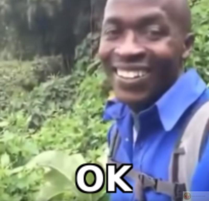 BST meme ok hài hước cute – Bộ ảnh chế ok bấy bì đáng yêu