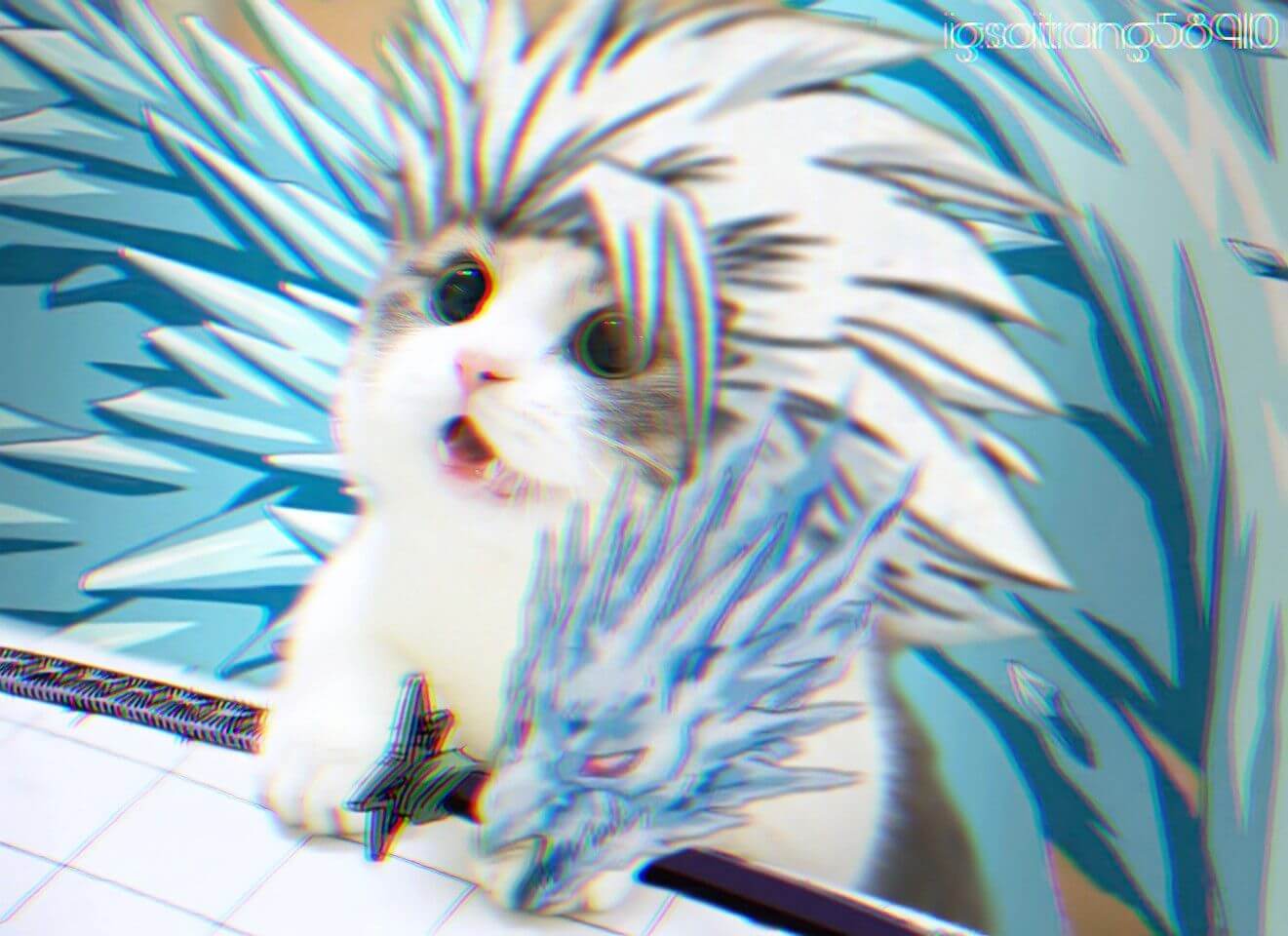 avatar meo lien quan