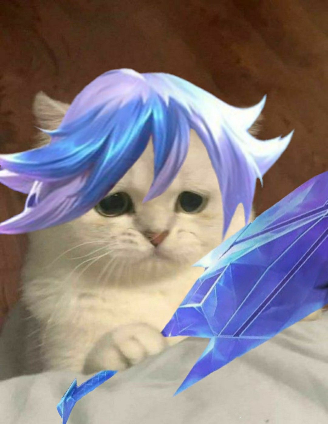 mèo 2k4 liên quân ăn kem