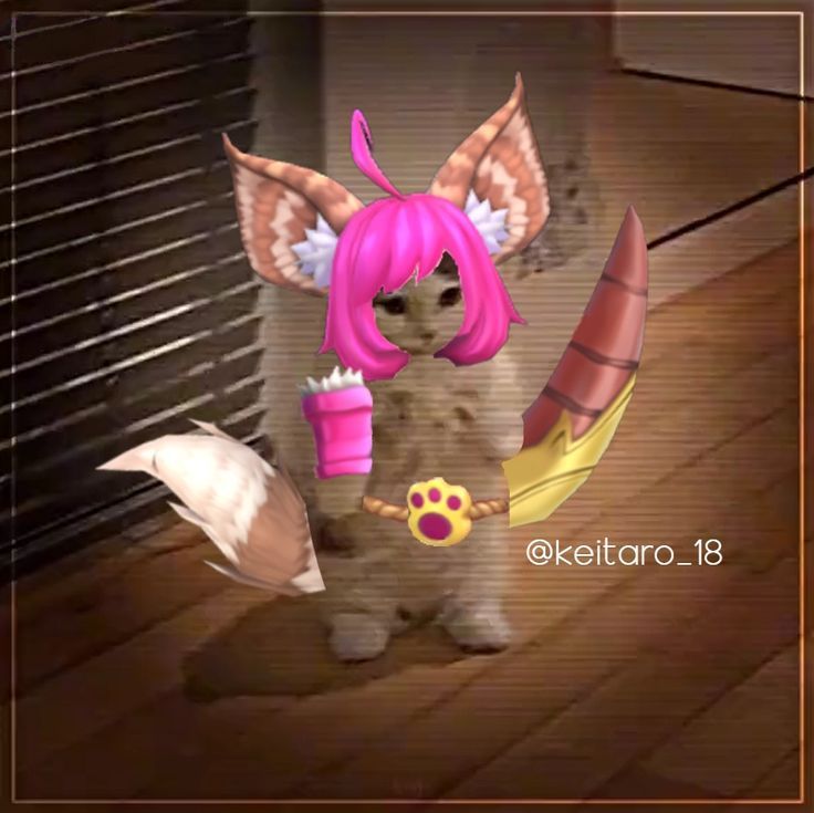 avt mèo liên quân đẹp