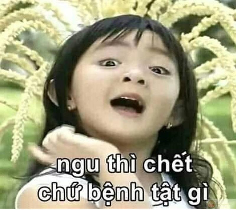 Meme ngu thì chết