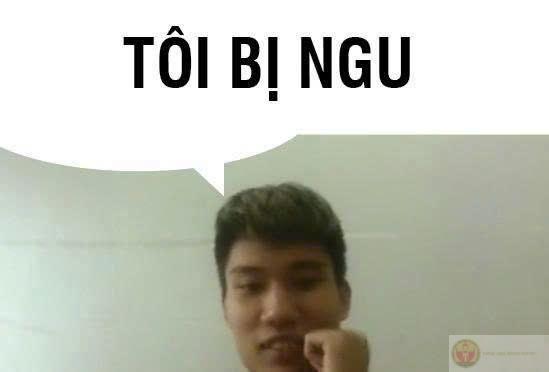 Meme ngu: 125+ ảnh “ngu thì nín”, “ngu như bò” hài bựa