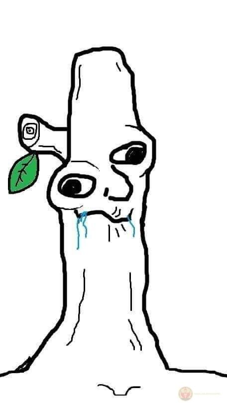 Một chiếc meme thiểu năng dễ thương chứng minh sự ngây ngô cũng có giá trị giải trí