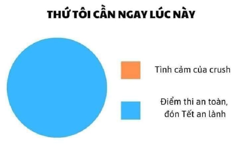 Meme Tết về thi học kỳ