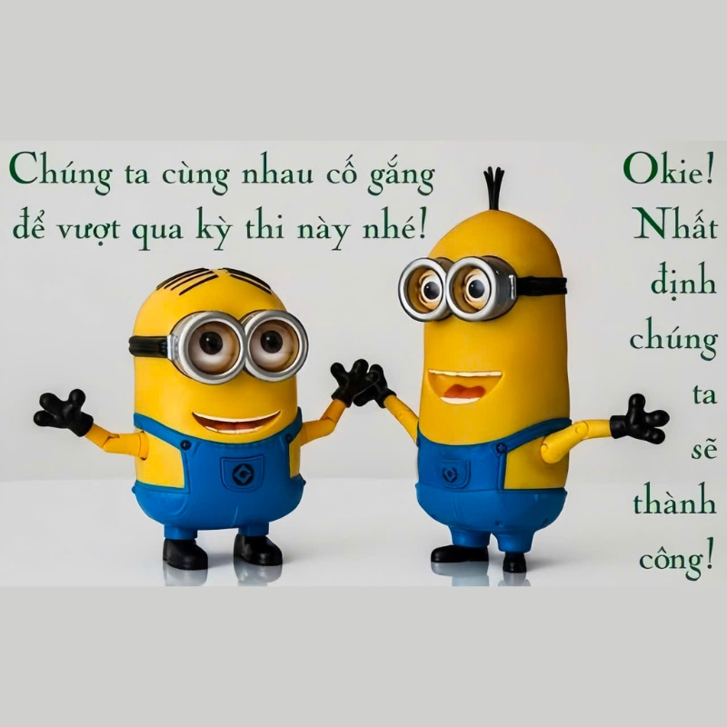 Tổng hợp thi tốt meme hài hước