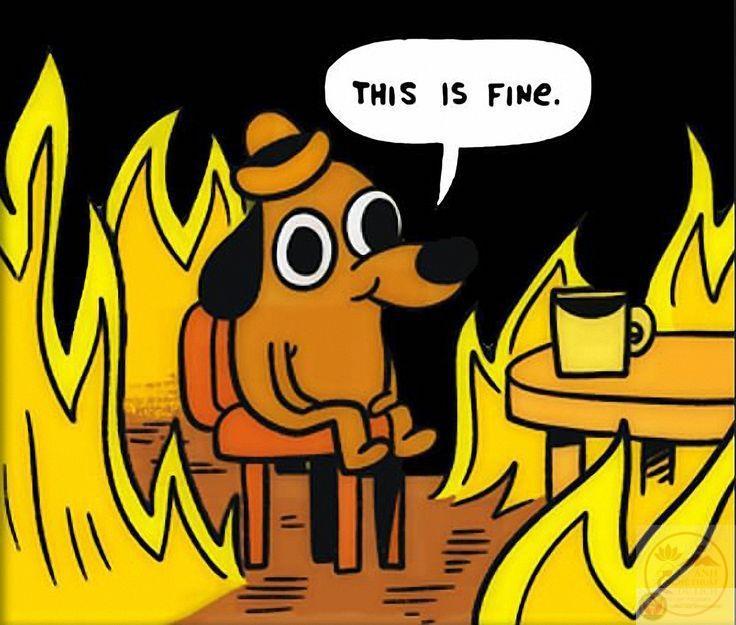 Hình ảnh chú chó bình tĩnh là tấm gương phản chiếu cuộc sống hiện đại