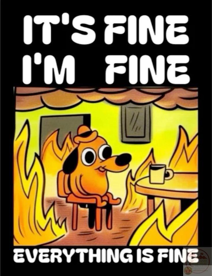 Meme này khắc họa rõ ràng cách con người đối diện áp lực hằng ngày