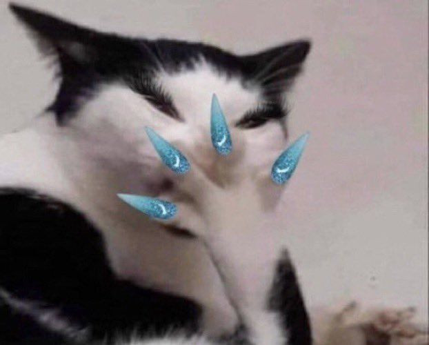 mèo ngồi nhìn tường suy tư