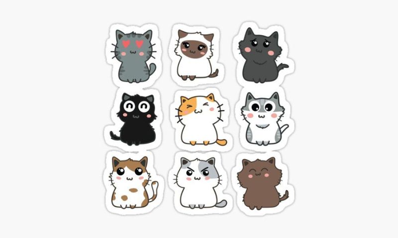 20 Mẫu sticker mèo cute dễ thương được yêu thích 2025