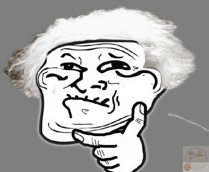 Bộ sưu tập 50+ ảnh Meme Mèo Phán Xét với đủ cung bậc từ hài hước đến gắt gao