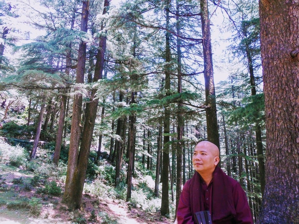 Nhân sinh: ''Mỗi cây mỗi hoa, mỗi người mỗi cảnh''