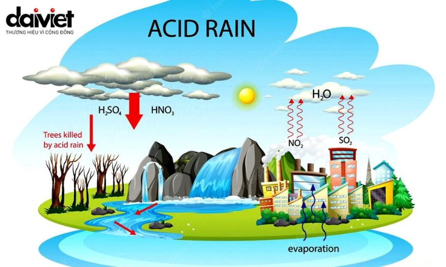 Mưa axit là gì? Tác hại của mưa axit và biện pháp khắc phục