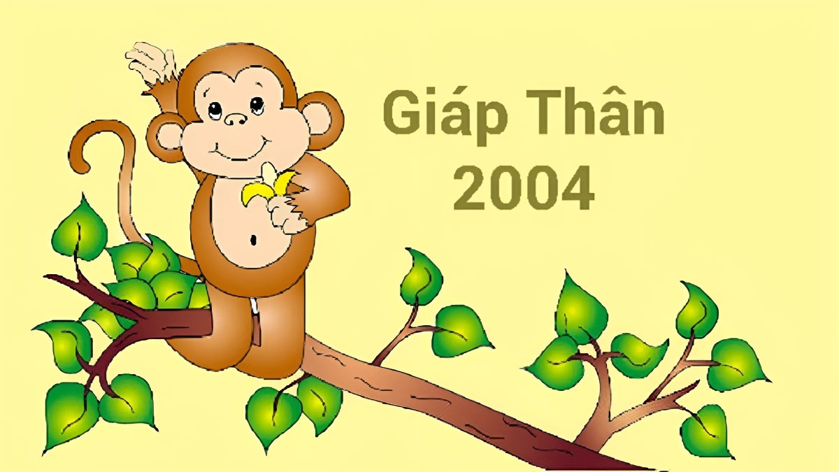 Sinh năm 2004 mệnh gì? Con gì? Hợp màu nào? Tuổi nào?