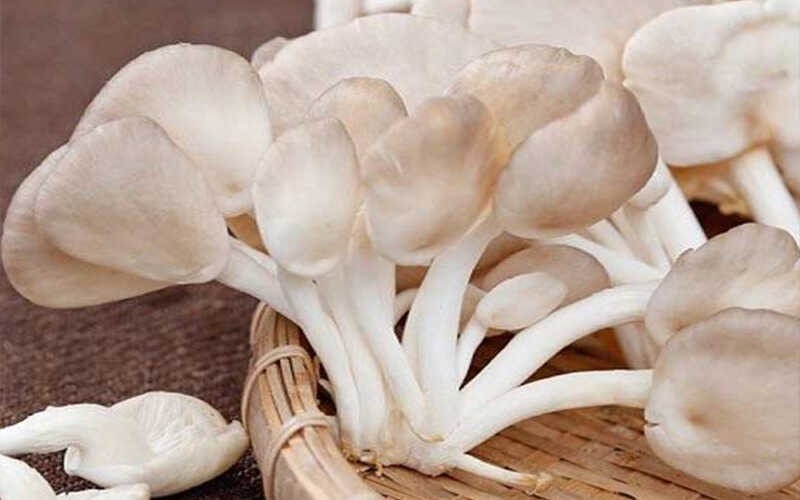 Món nấm sò rửa sạch và xé miếng