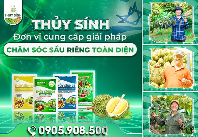 Thủy Sính - đơn vị cung cấp giải pháp chăm sóc sầu riêng toàn diện