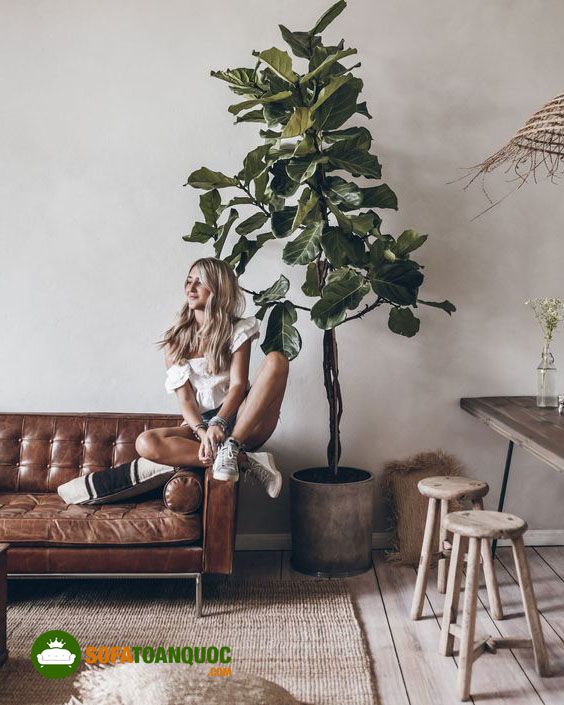 cách tạo dáng chụp ảnh ngồi ghế sofa