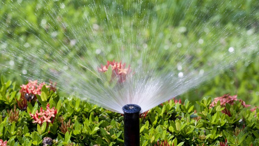 Hệ thống tưới cây thông minh