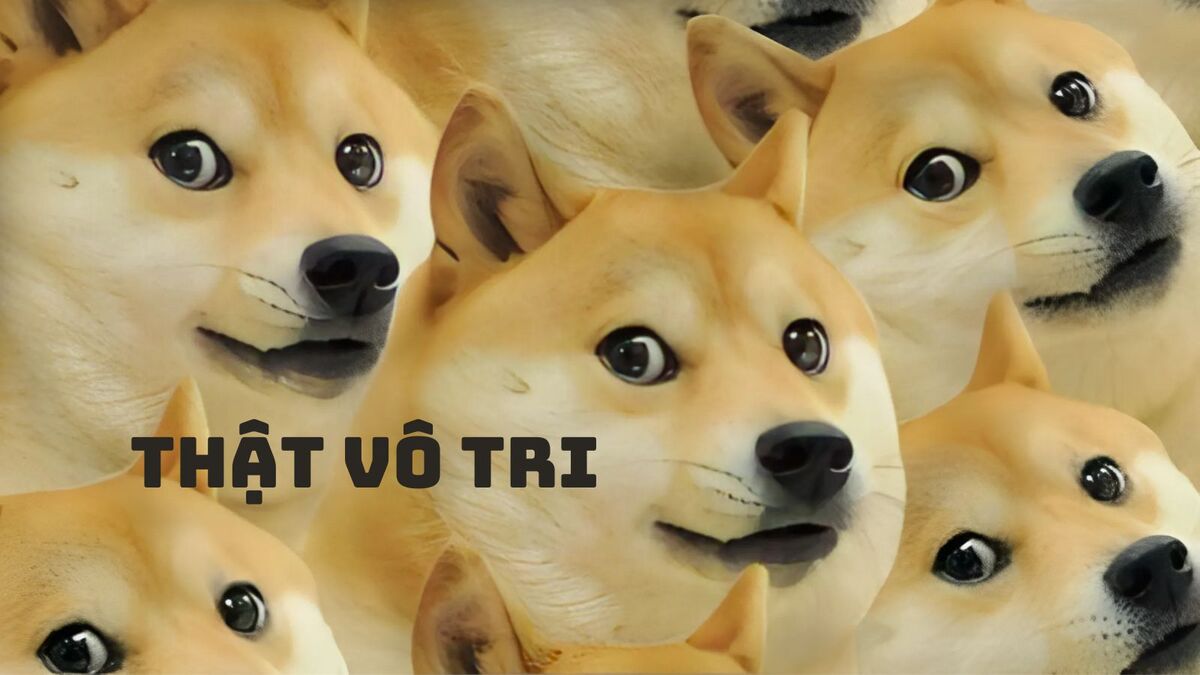 Tại sao vô tri được giới trẻ hiện nay sử dụng phổ biến