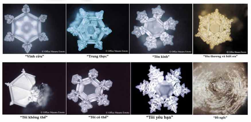 nước cũng có cảm xúc