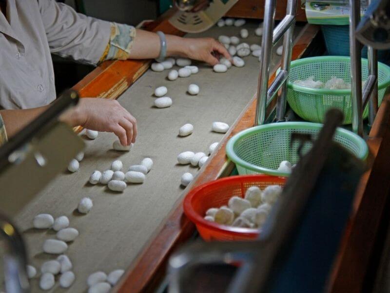 Nhật Bản đứng đầu thế giới về sản lượng