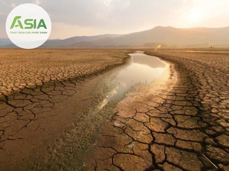 Thổ nhưỡng khu vực Đồng bằng sông Cửu Long và các vấn đề liên quan