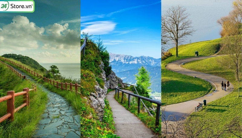 Bố cục đường cong