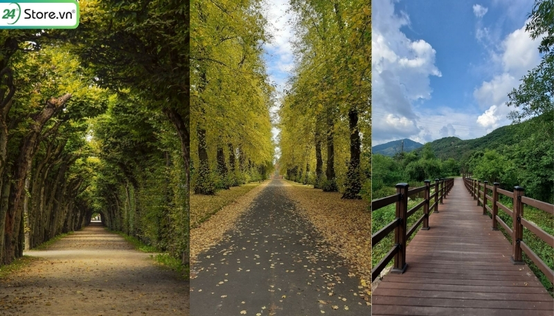 các đường thẳng dẫn lối