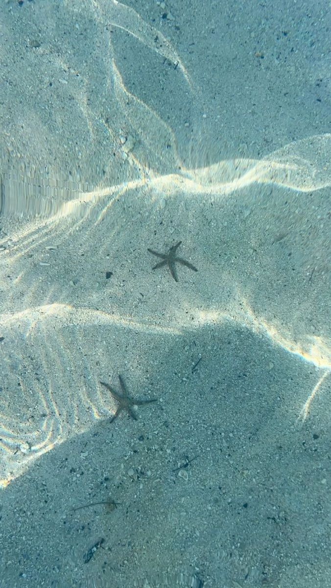 Chụp ảnh lúc bình minh cho màu sắc dịu nhẹ