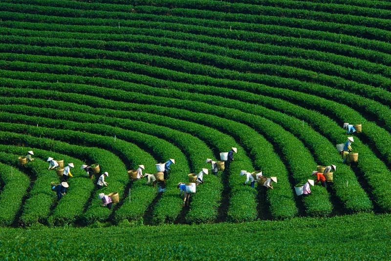 Cảnh đẹp Việt Nam từ bắc vào nam