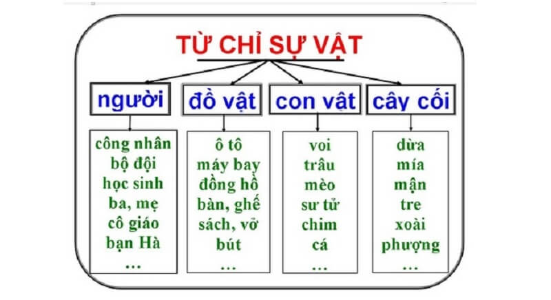 Từ chỉ sự vật là gì? Định nghĩa + 30 ví dụ dễ hiểu cho bé lớp 2