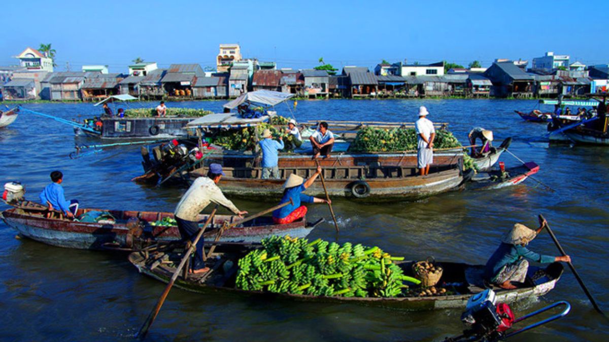 Lý do phổ biến của từ ní là gì