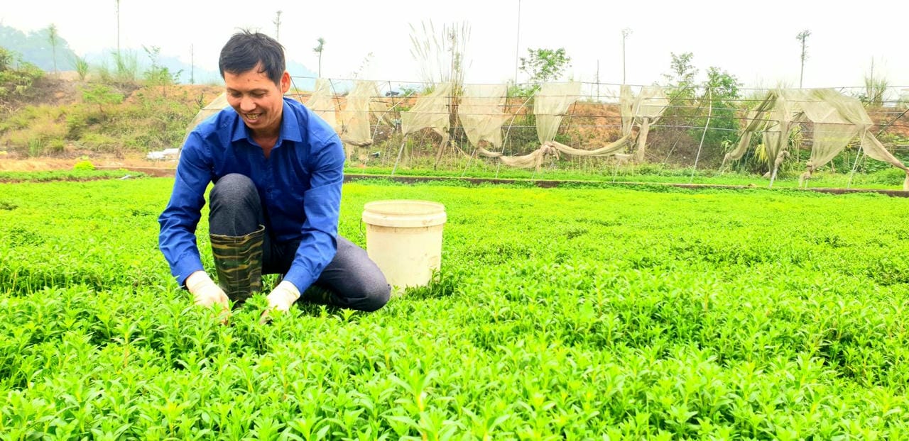 Người nông dân có thể tăng mức thu nhập khi áp dụng mô hình trên