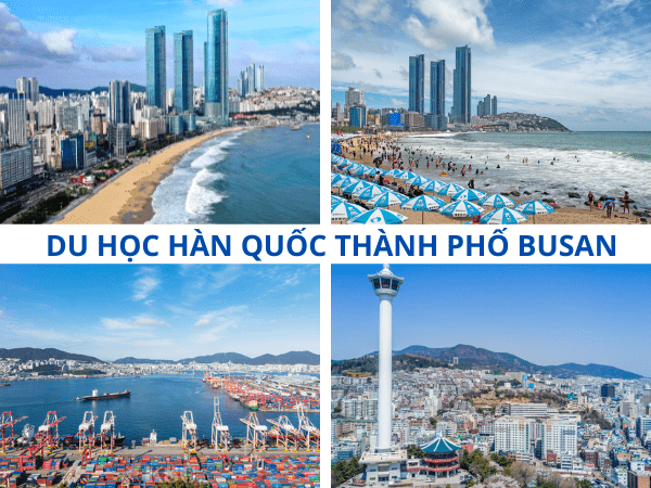Nên học ở Busan hay Seoul
