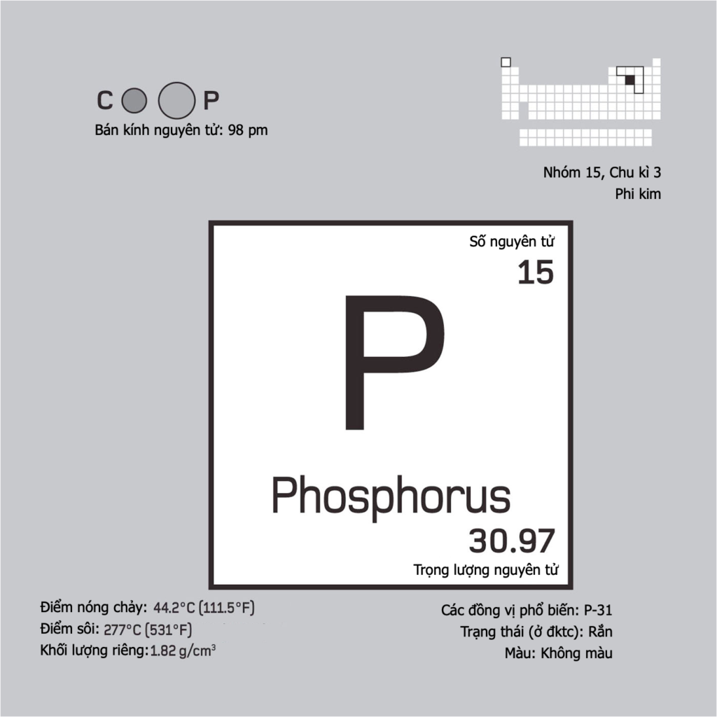 Tính Chất Hóa Học Của Photpho
