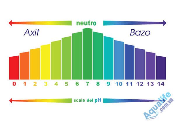 Nồng độ pH là gì