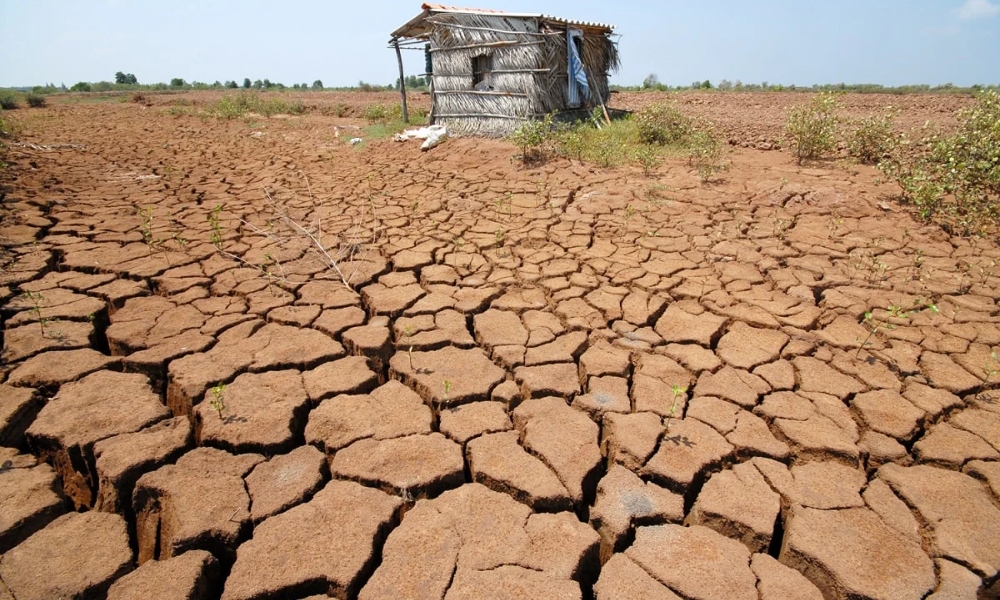 Nên sử phân phân vi sinh cho đất bị phèn