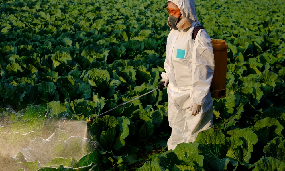 phan bon vi sinh vai tro va cach dung 5