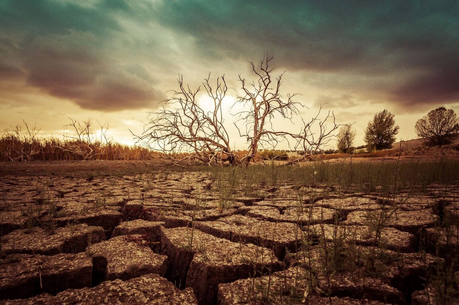 phần lớn lãnh thổ châu phi nằm giữa hai chí tuyến