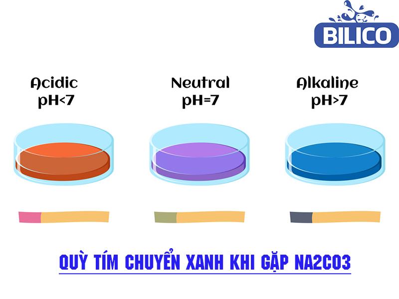 Quỳ tím chuyển màu xanh khi gặp dung dịch na2co3