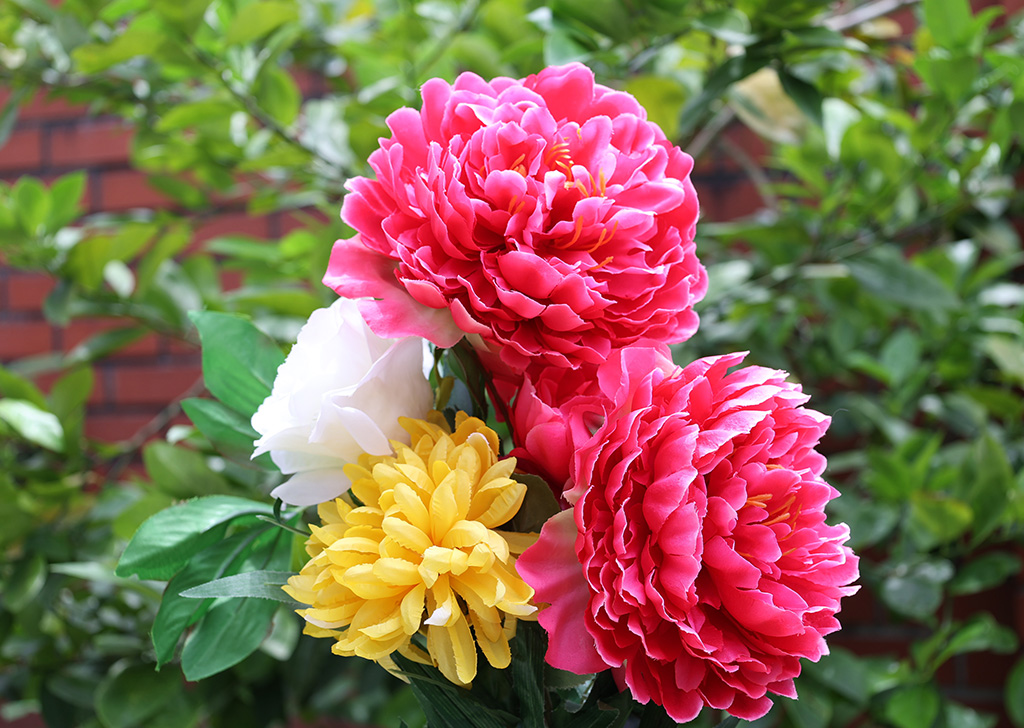 Tìm những nội dung bạn muốn