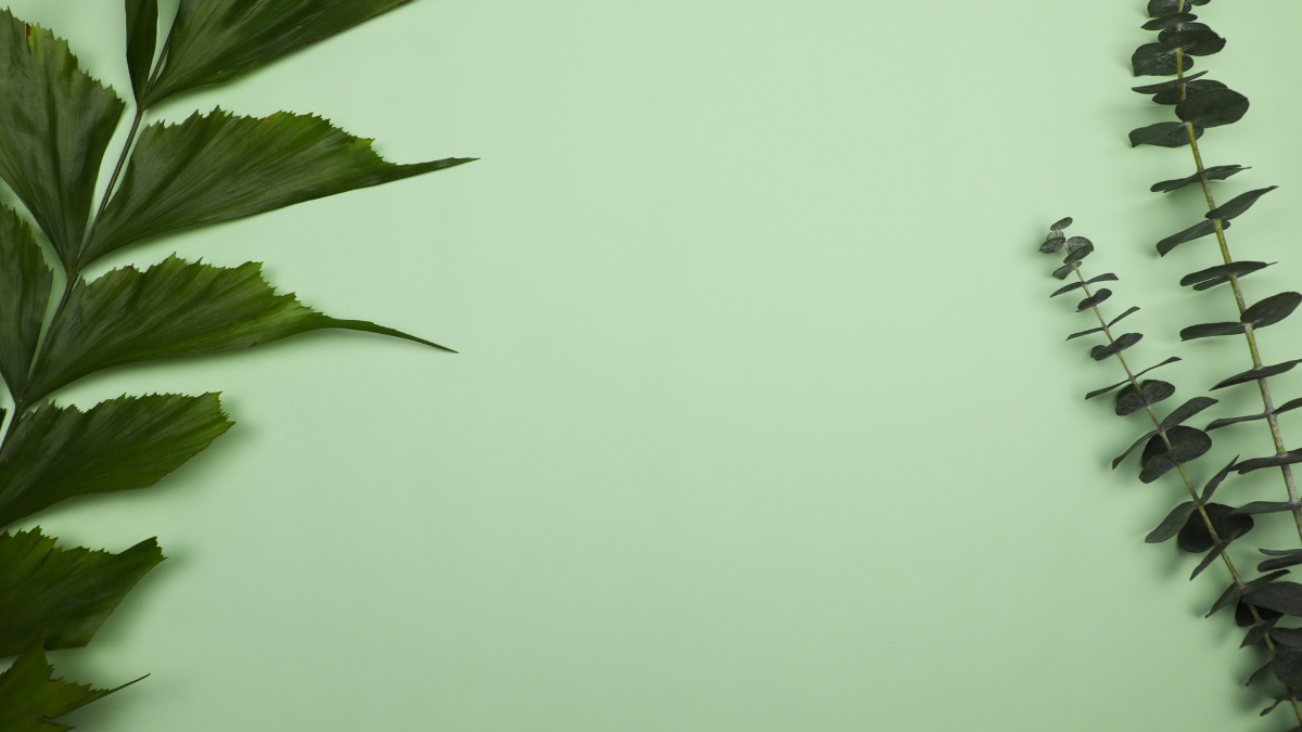 Background xanh lá cây mang lại sự thư thái cho tâm hồn