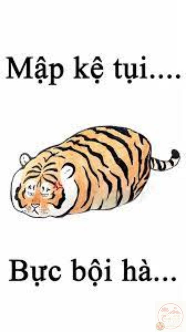 ảnh động vật cực he