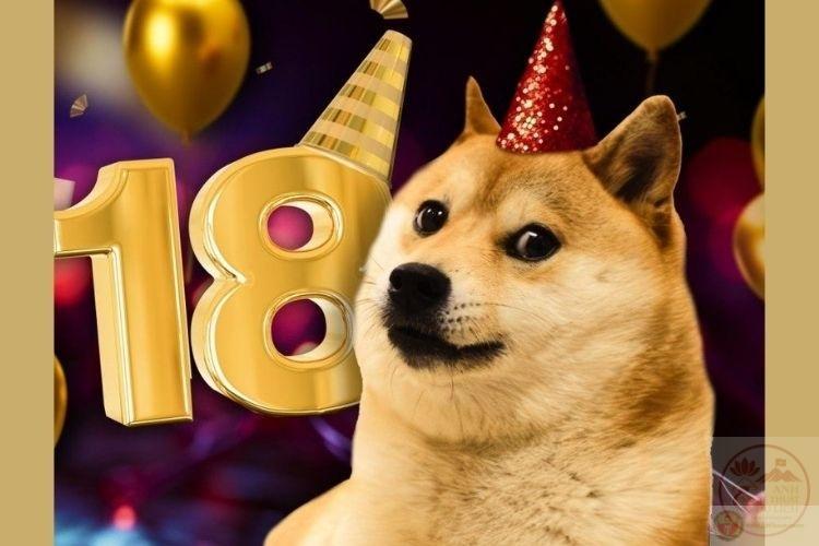 ảnh chế động vật vui nhộn