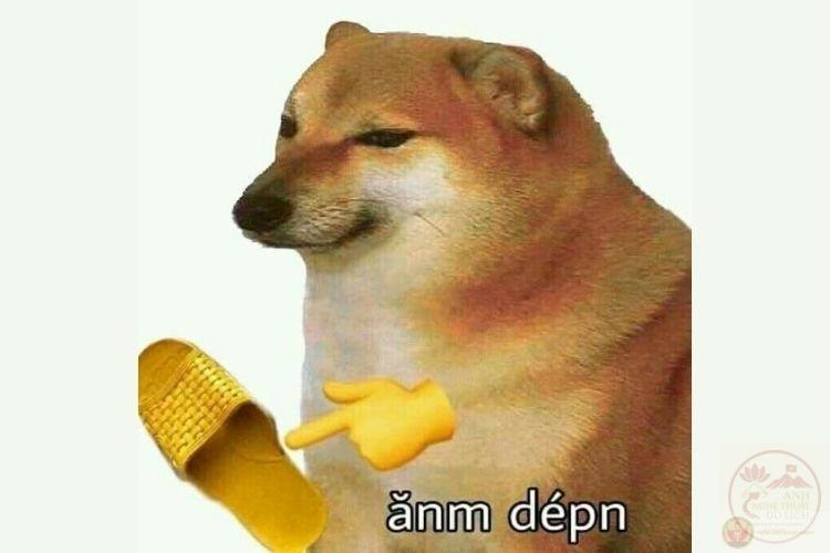 ảnh động vật hài hước