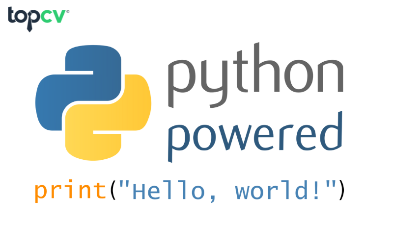 Ngôn ngữ python và golang nên tập trung vào ngôn ngữ nào