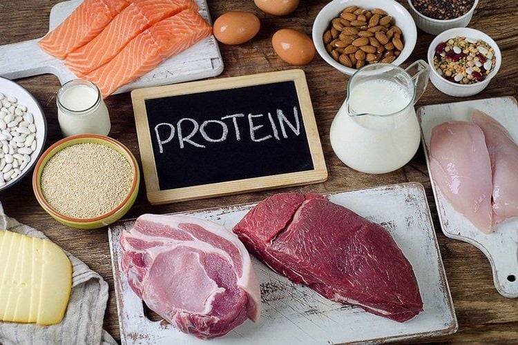 Sự chuyển hóa protein trong cơ thể