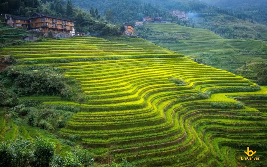 Hình ảnh Ngôi Làng Canh Tác Ruộng Bậc Thang